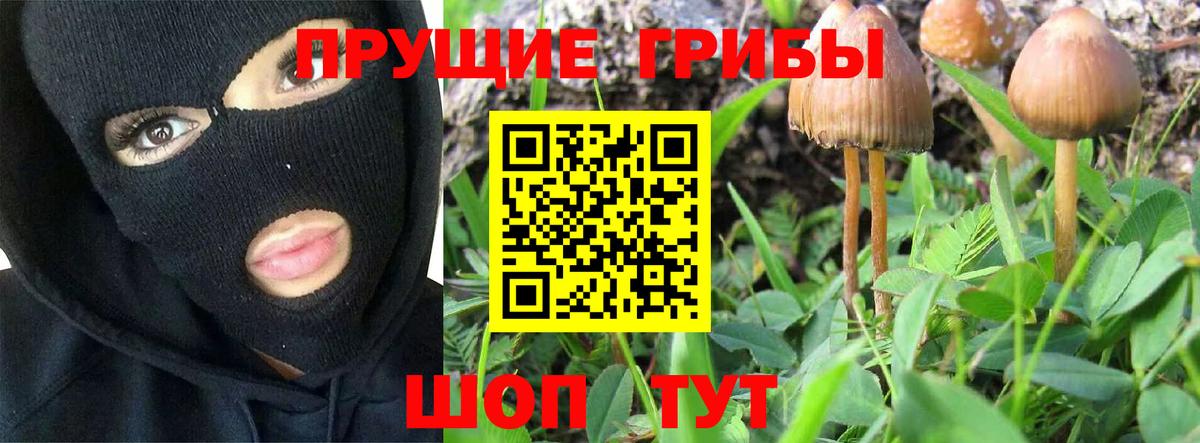 купить   Галлюциногенные грибы мухоморы  Галлюциногенные грибы прущие грибы  Вход с VPN  Воронеж 